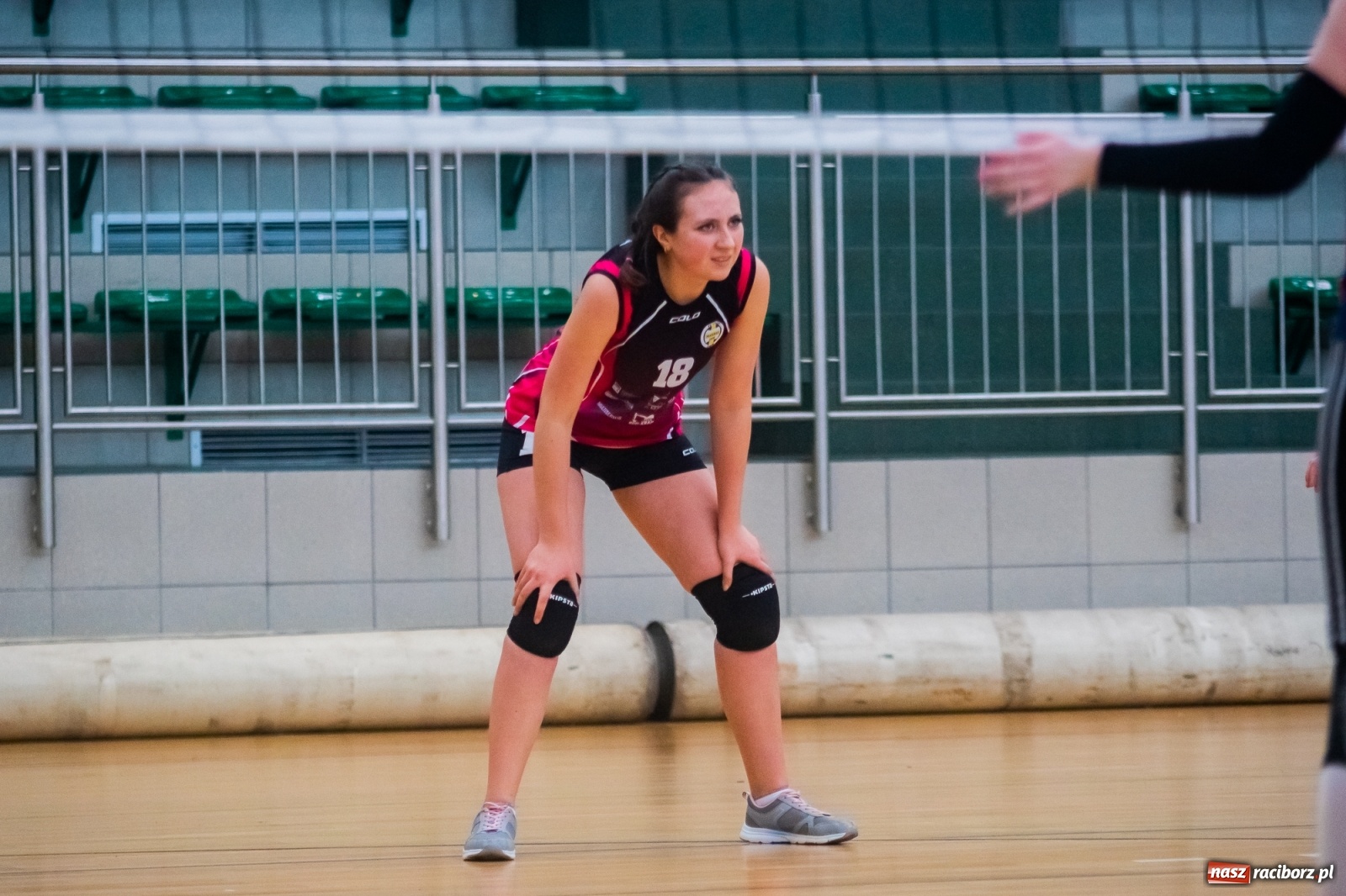 Zdjęcie w galerii na portalu naszraciborz.pl: Siatkarska niedziela w Arenie Rafako [FOTO i WIDEO] wiadomości z regionu