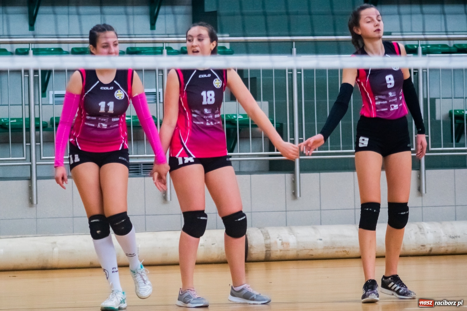Zdjęcie w galerii na portalu naszraciborz.pl: Siatkarska niedziela w Arenie Rafako [FOTO i WIDEO] wiadomości z regionu