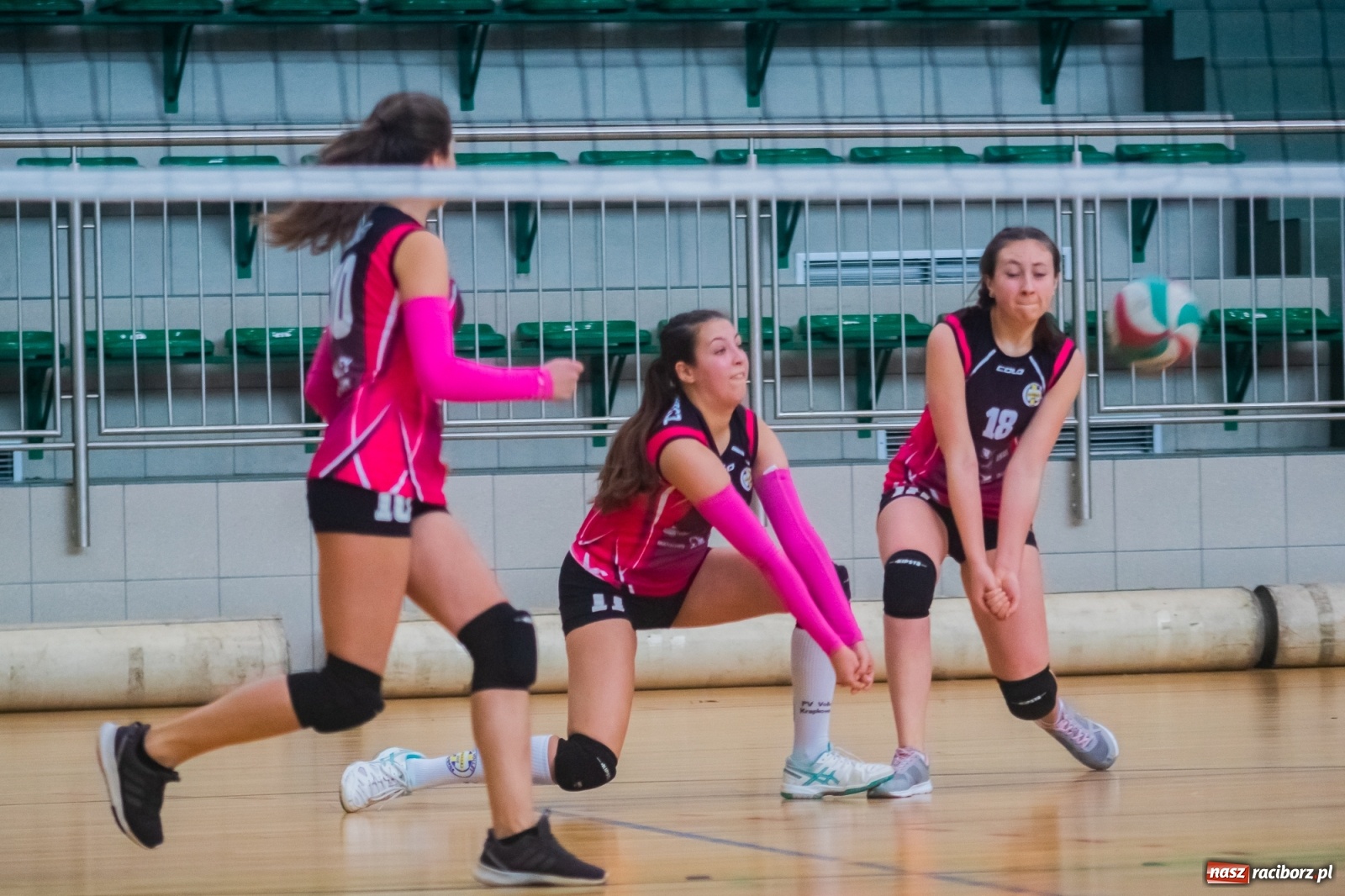 Zdjęcie w galerii na portalu naszraciborz.pl: Siatkarska niedziela w Arenie Rafako [FOTO i WIDEO] wiadomości z regionu