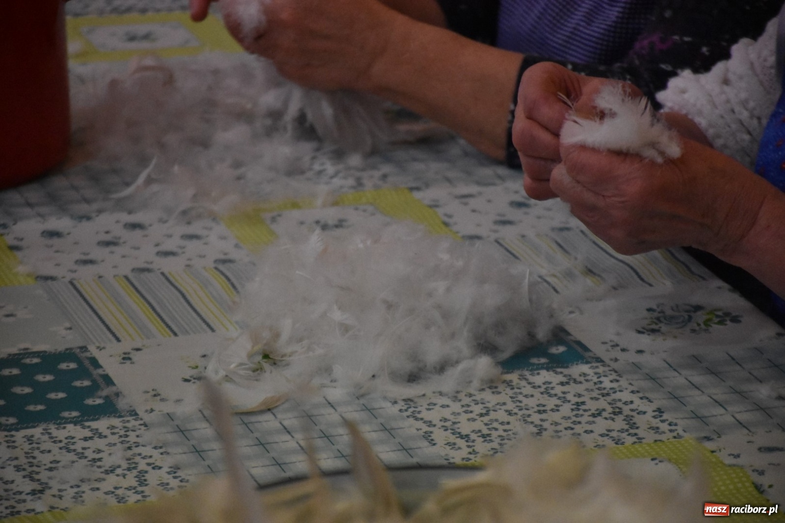 Zdjęcie w galerii na portalu naszraciborz.pl: Tworkowskie gospodynie szkubały pierze wiadomości z regionu