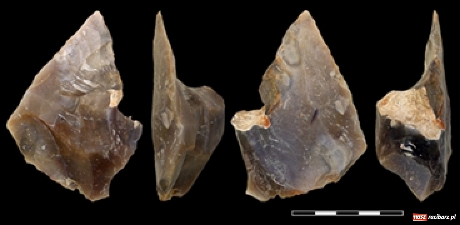 Zdjęcie w galerii na portalu naszraciborz.pl: Archeolodzy wracają do gminy Krzanowice. Czy będzie kolejna sensacja?  wiadomości z regionu