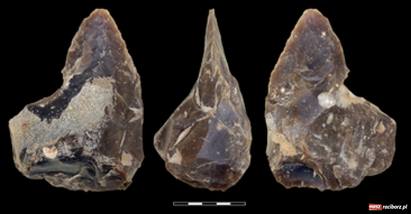 Zdjęcie w galerii na portalu naszraciborz.pl: Archeolodzy wracają do gminy Krzanowice. Czy będzie kolejna sensacja?  wiadomości z regionu