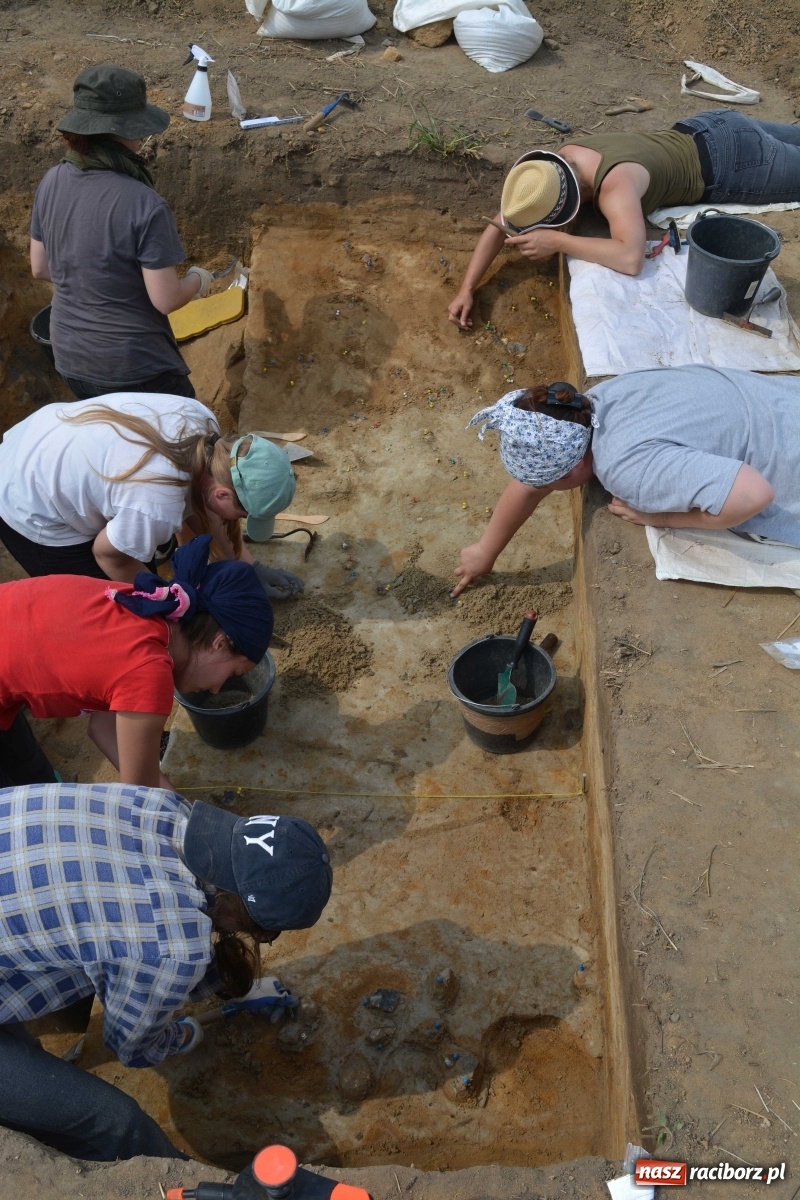 Zdjęcie w galerii na portalu naszraciborz.pl: Archeolodzy wracają do gminy Krzanowice. Czy będzie kolejna sensacja?  wiadomości z regionu