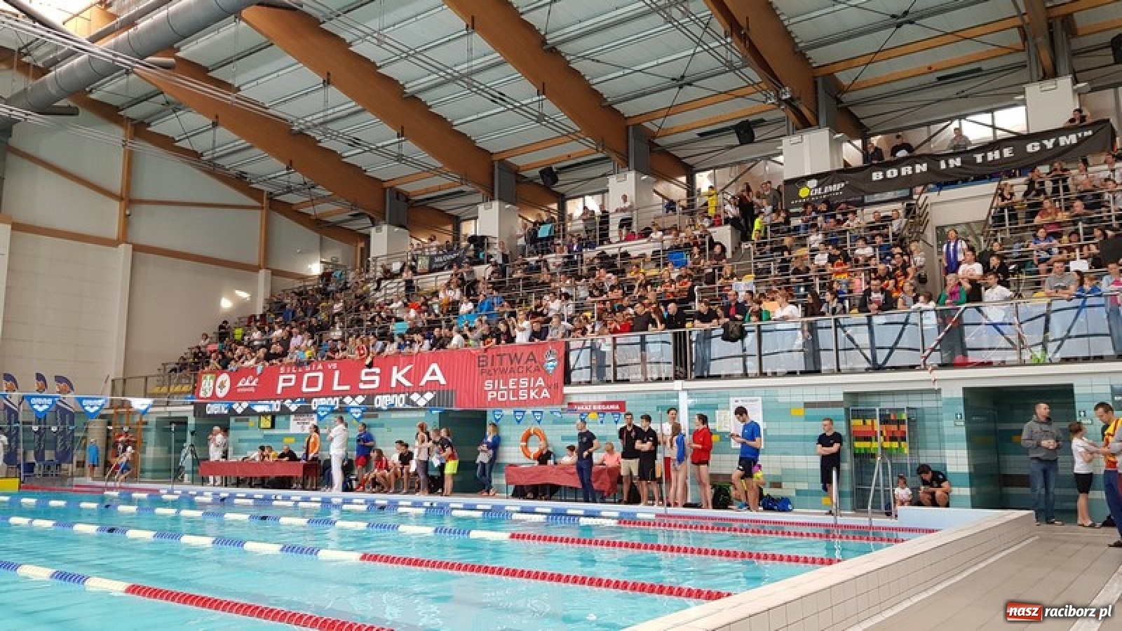Zdjęcie w galerii na portalu naszraciborz.pl: Drugie miejsce pływaków z Raciborza w Pucharze Silesia wiadomości z regionu