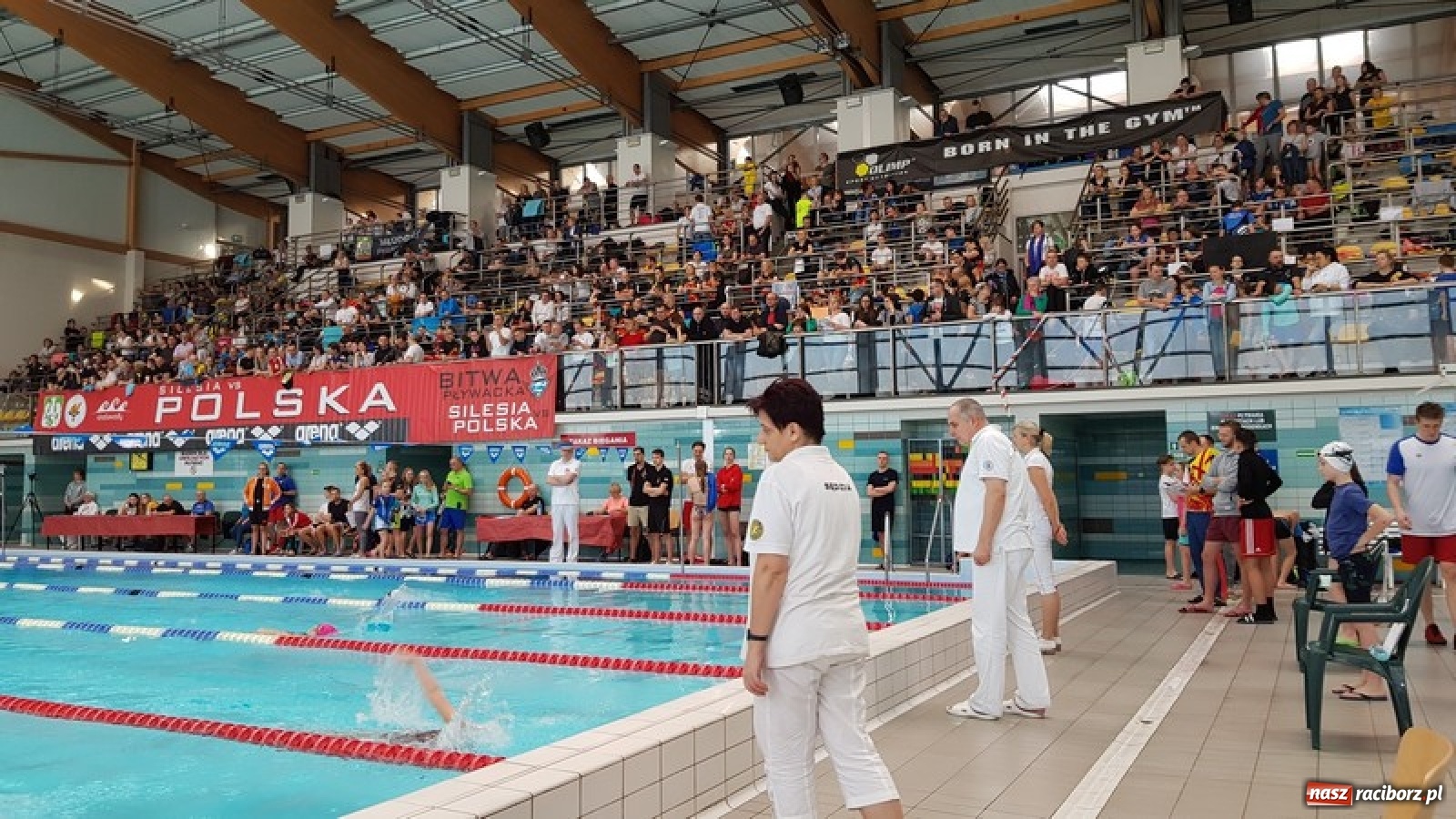 Zdjęcie w galerii na portalu naszraciborz.pl: Drugie miejsce pływaków z Raciborza w Pucharze Silesia wiadomości z regionu