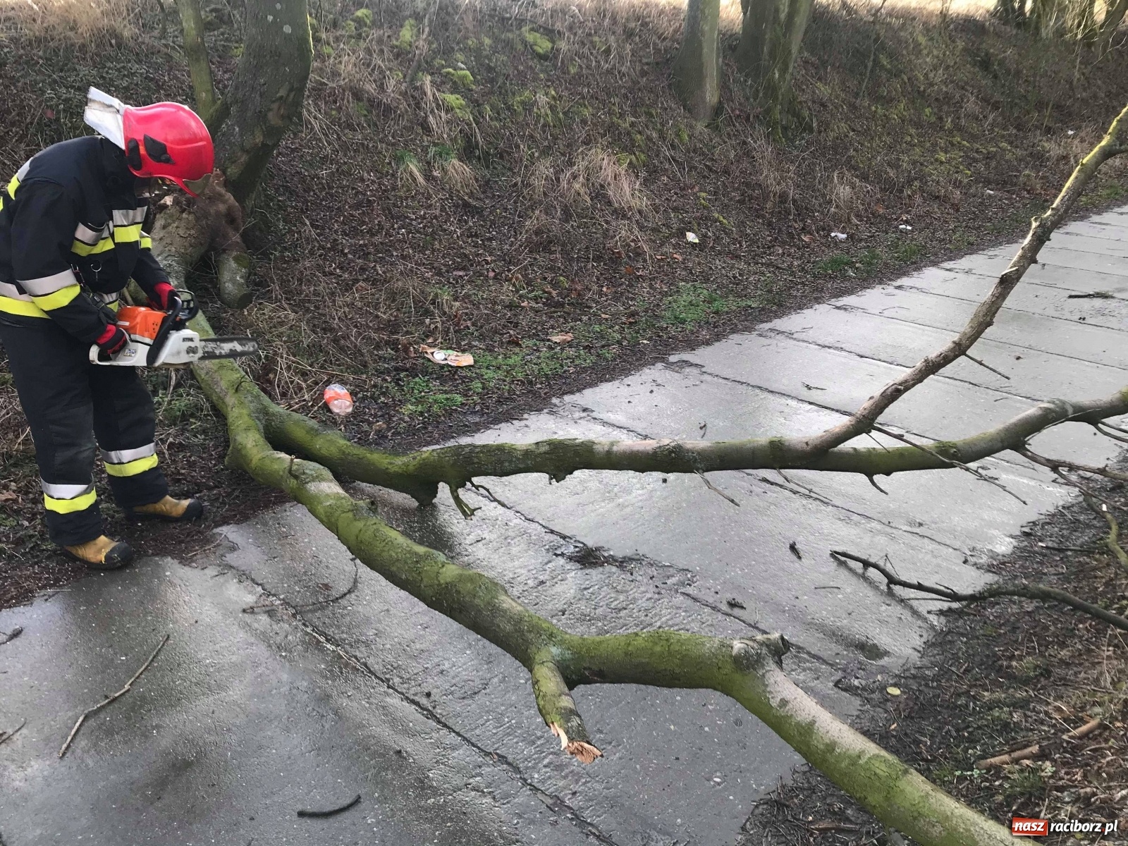 Zdjęcie w galerii na portalu naszraciborz.pl: Wichury w powiecie raciborskim. Raport 998  wiadomości z regionu