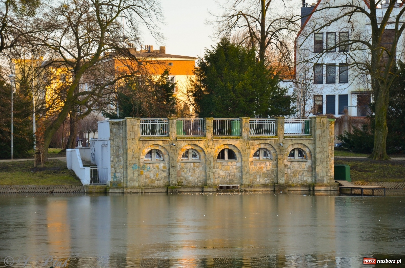 Zdjęcie w galerii na portalu naszraciborz.pl: Gdzie się podziały raciborskie zimy! Zmiany klimatu coraz bardziej widoczne wiadomości z regionu
