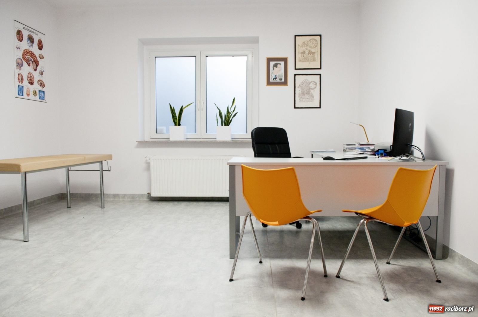 Zdjęcie w galerii na portalu naszraciborz.pl: BemaMed - nowe miejsce w Raciborzu, w którym zadbasz o swoje zdrowie wiadomości z regionu