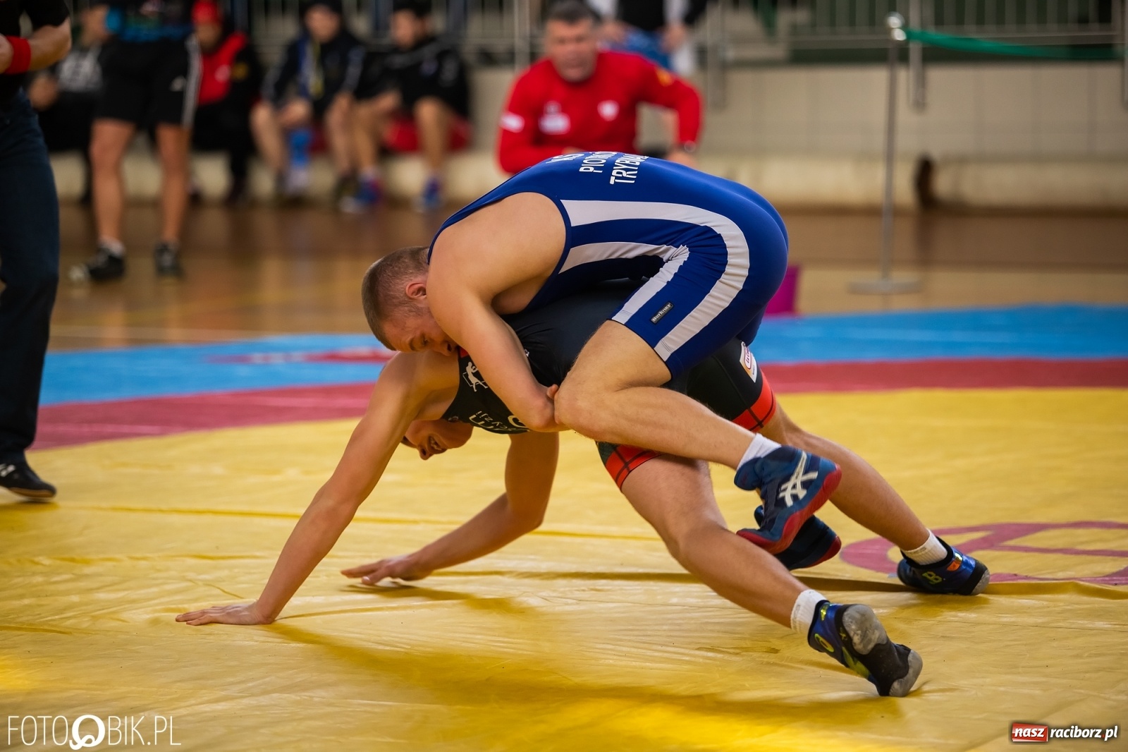 Zdjęcie w galerii na portalu naszraciborz.pl: Puchar Polski w zapasach w stylu klasycznym w Arenie Rafako wiadomości z regionu