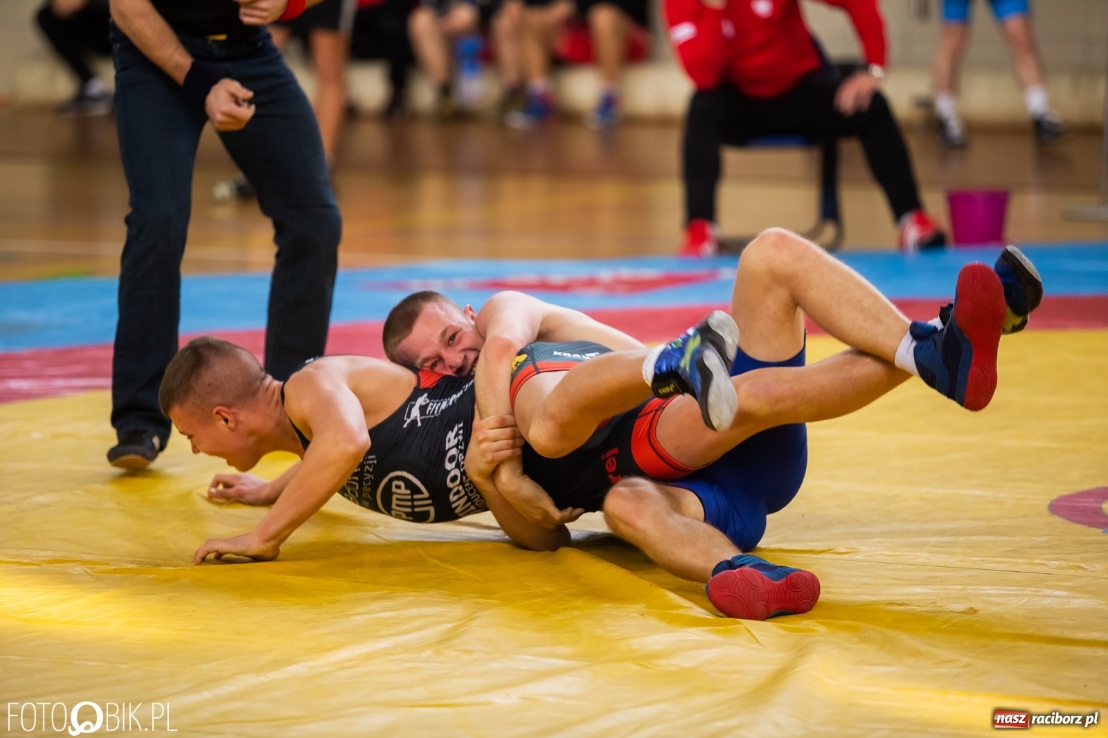 Zdjęcie w galerii na portalu naszraciborz.pl: Puchar Polski w zapasach w stylu klasycznym w Arenie Rafako wiadomości z regionu