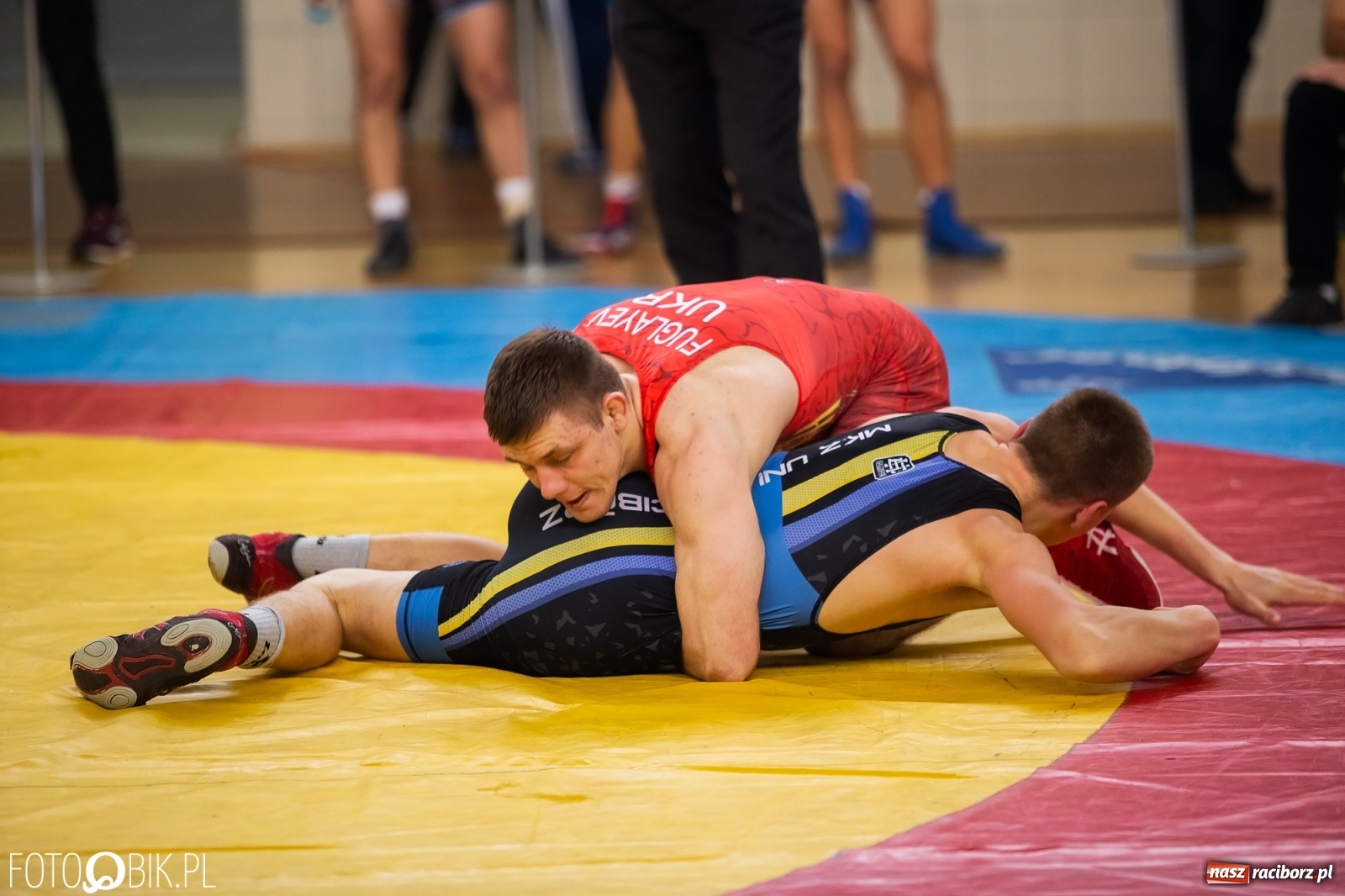 Zdjęcie w galerii na portalu naszraciborz.pl: Puchar Polski w zapasach w stylu klasycznym w Arenie Rafako wiadomości z regionu