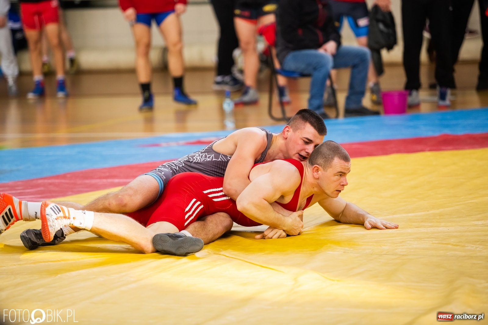 Zdjęcie w galerii na portalu naszraciborz.pl: Puchar Polski w zapasach w stylu klasycznym w Arenie Rafako wiadomości z regionu