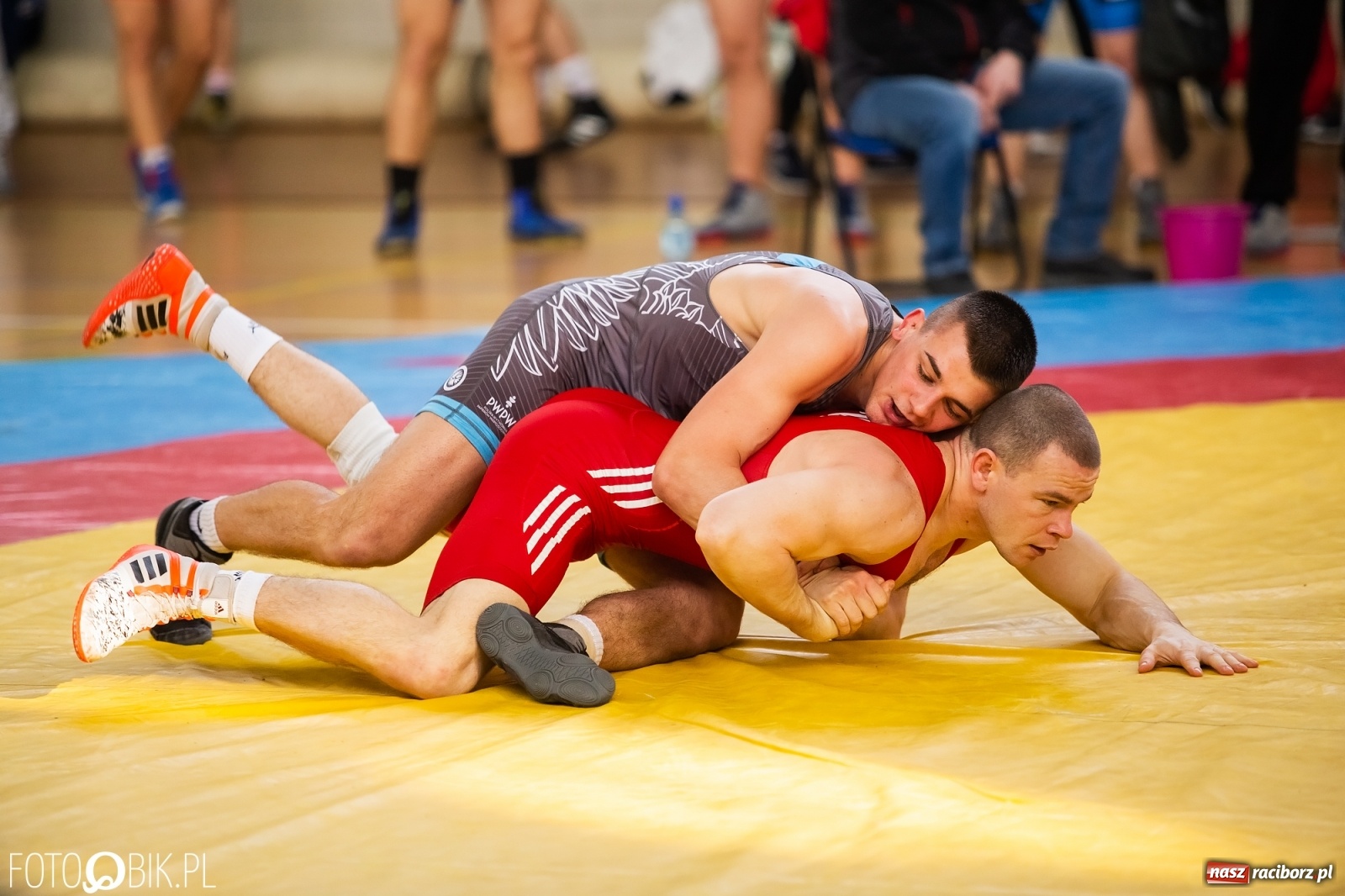 Zdjęcie w galerii na portalu naszraciborz.pl: Puchar Polski w zapasach w stylu klasycznym w Arenie Rafako wiadomości z regionu