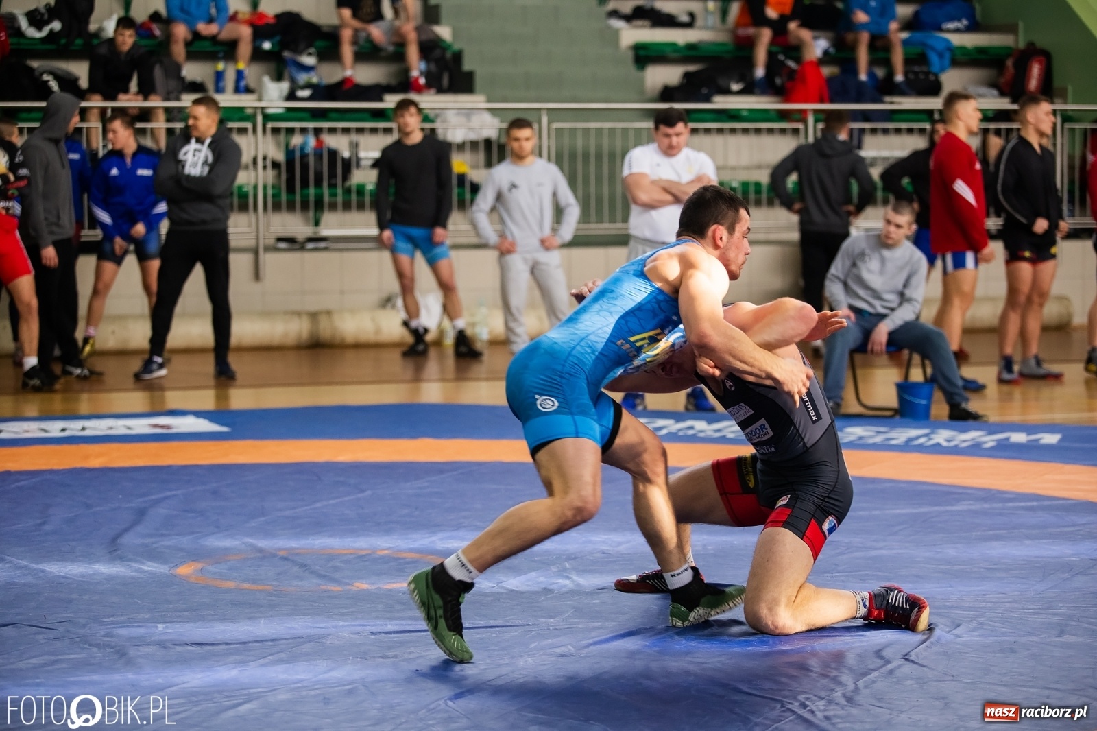 Zdjęcie w galerii na portalu naszraciborz.pl: Puchar Polski w zapasach w stylu klasycznym w Arenie Rafako wiadomości z regionu