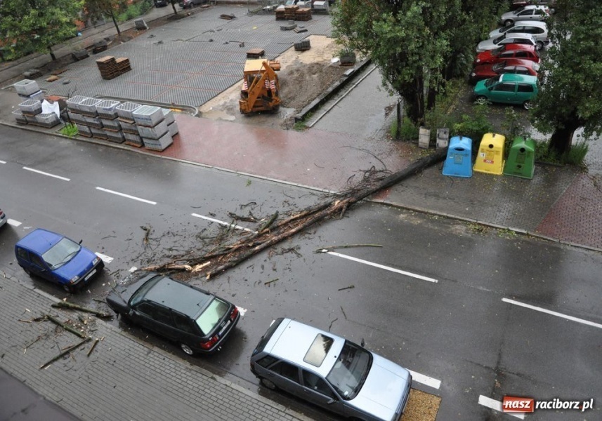 Zdjęcie w galerii na portalu naszraciborz.pl: Runęła topola na Staszica wiadomości z regionu
