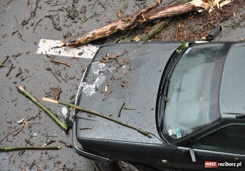 Zdjęcie w galerii na portalu naszraciborz.pl: Runęła topola na Staszica wiadomości z regionu