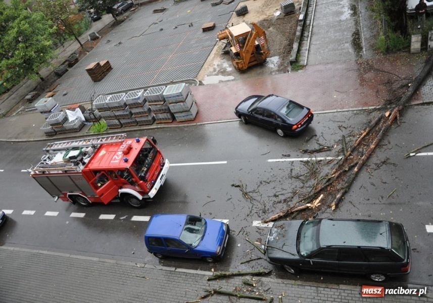 Zdjęcie w galerii na portalu naszraciborz.pl: Runęła topola na Staszica wiadomości z regionu