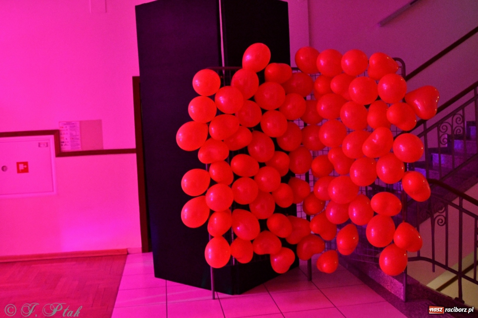 Zdjęcie w galerii na portalu naszraciborz.pl: Raciborzanie potrafią się pięknie bawić [FOTO]  wiadomości z regionu