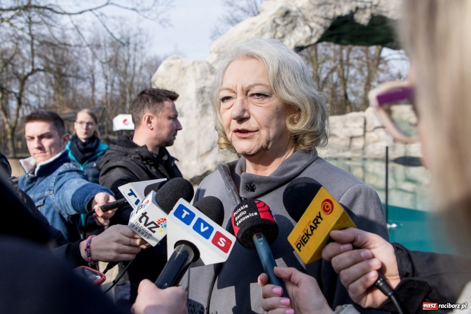 Zdjęcie w galerii na portalu naszraciborz.pl: A to ci niespodzianka na Śląsku wiadomości z regionu