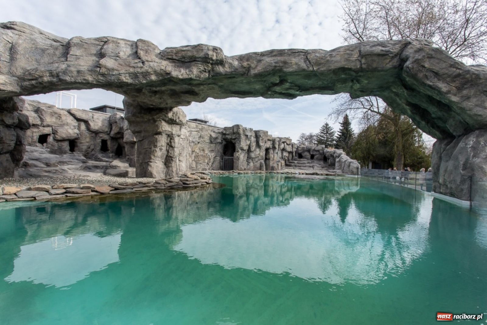 Zdjęcie w galerii na portalu naszraciborz.pl: A to ci niespodzianka na Śląsku wiadomości z regionu