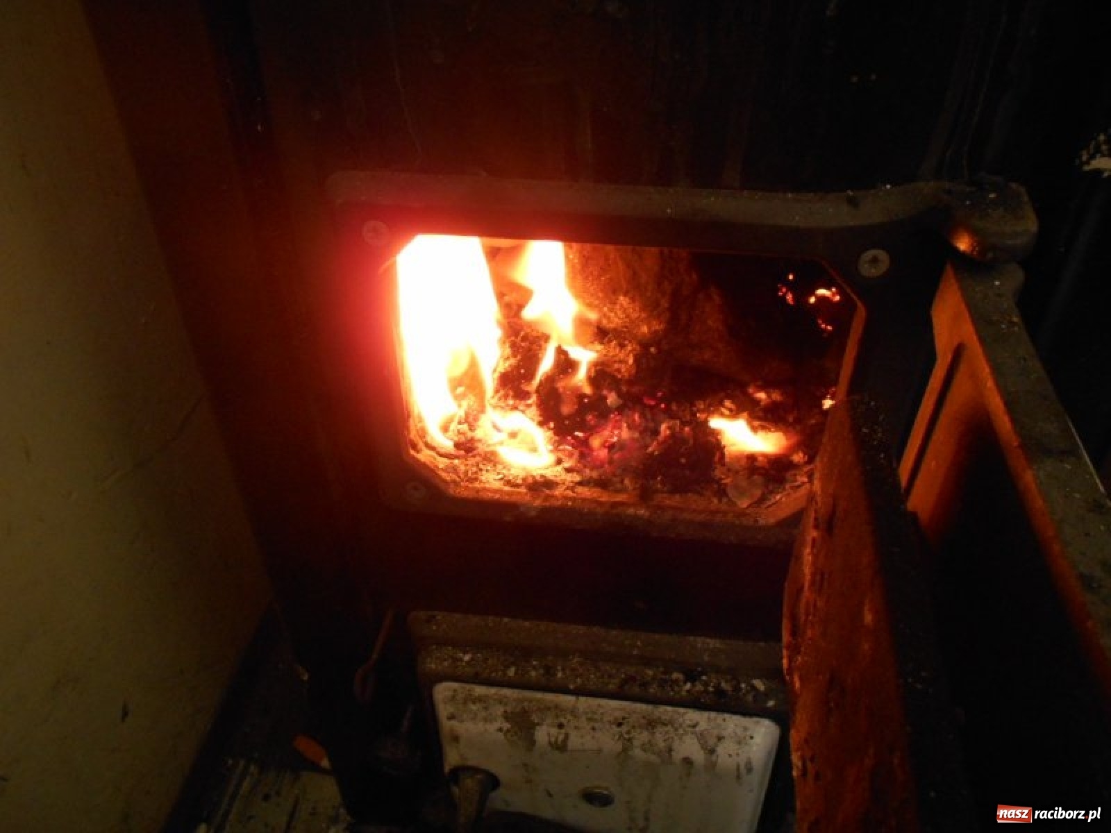 Zdjęcie w galerii na portalu naszraciborz.pl: Grzechy raciborzan! Strażnicy miejscy od zadań specjalnych  wiadomości z regionu