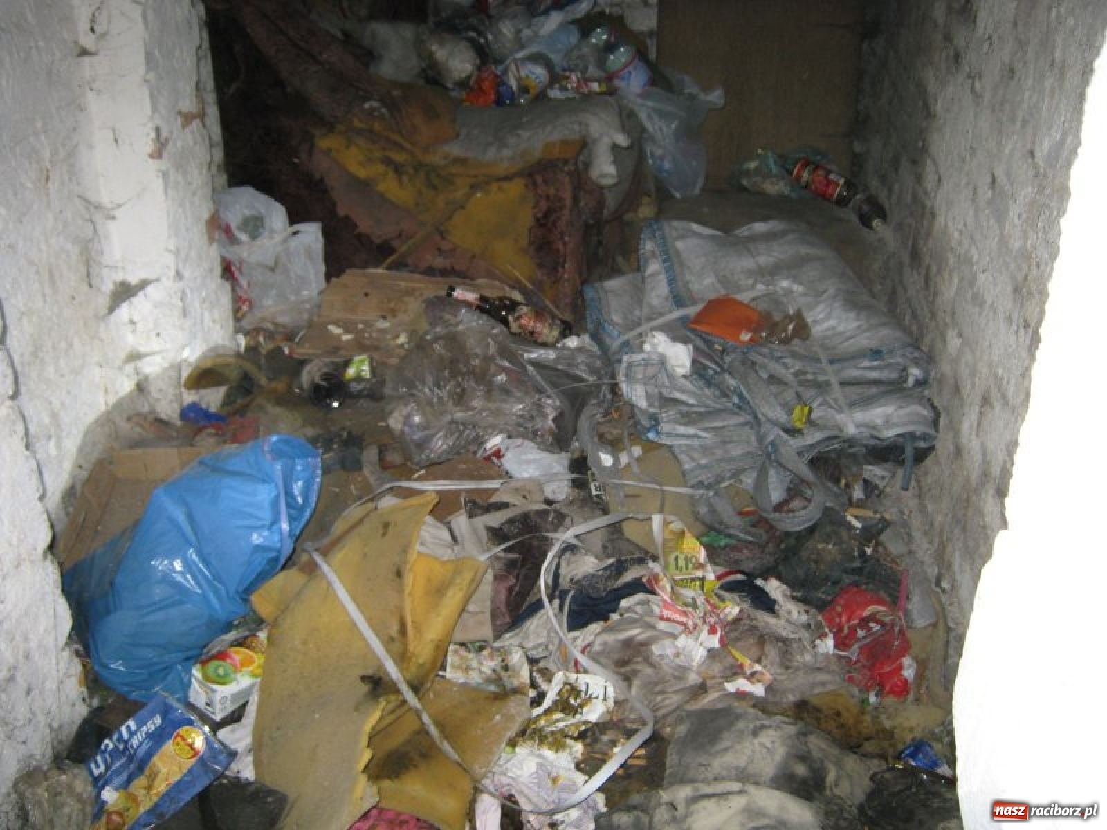 Zdjęcie w galerii na portalu naszraciborz.pl: Grzechy raciborzan! Strażnicy miejscy od zadań specjalnych  wiadomości z regionu