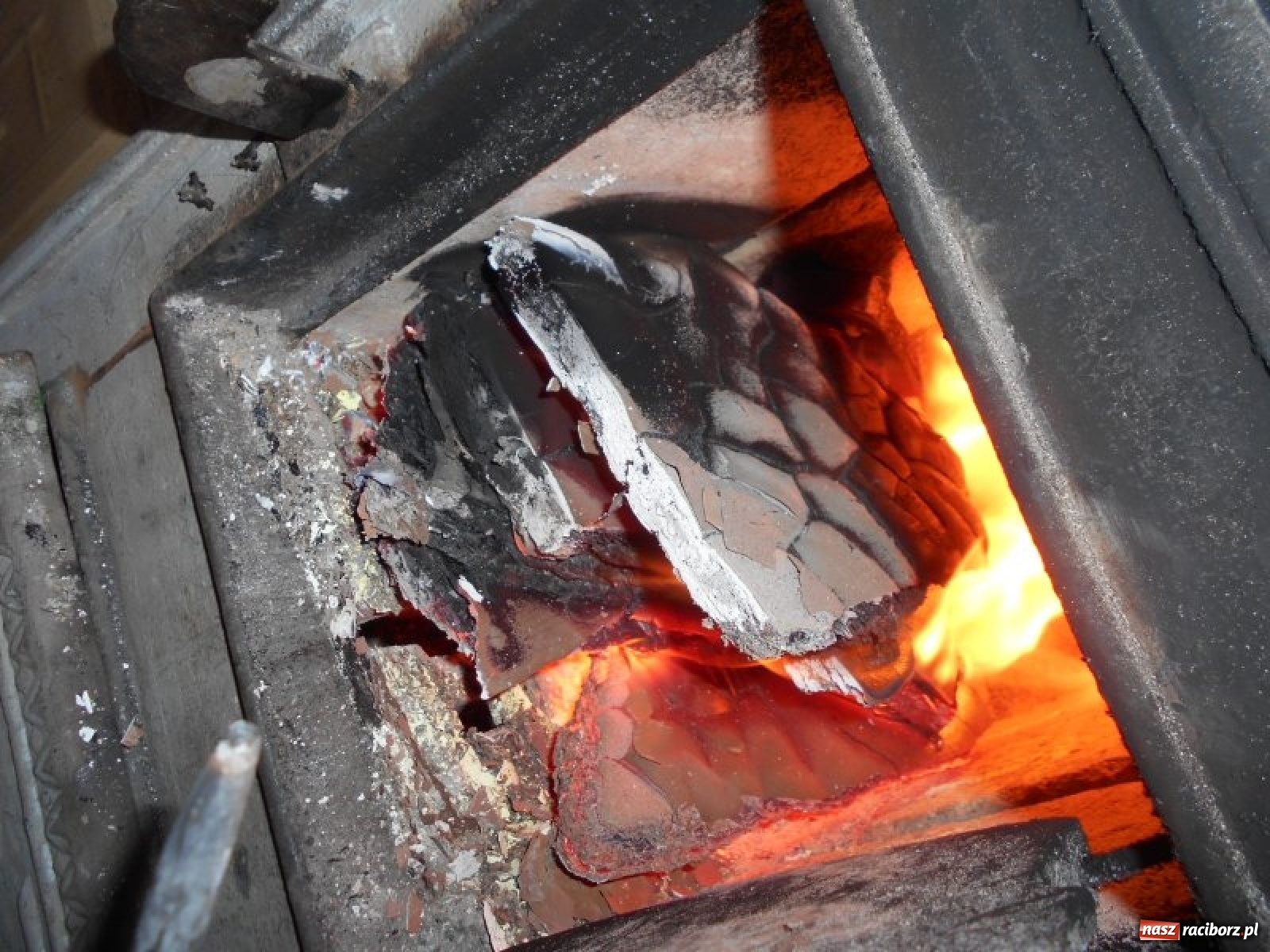 Zdjęcie w galerii na portalu naszraciborz.pl: Grzechy raciborzan! Strażnicy miejscy od zadań specjalnych  wiadomości z regionu