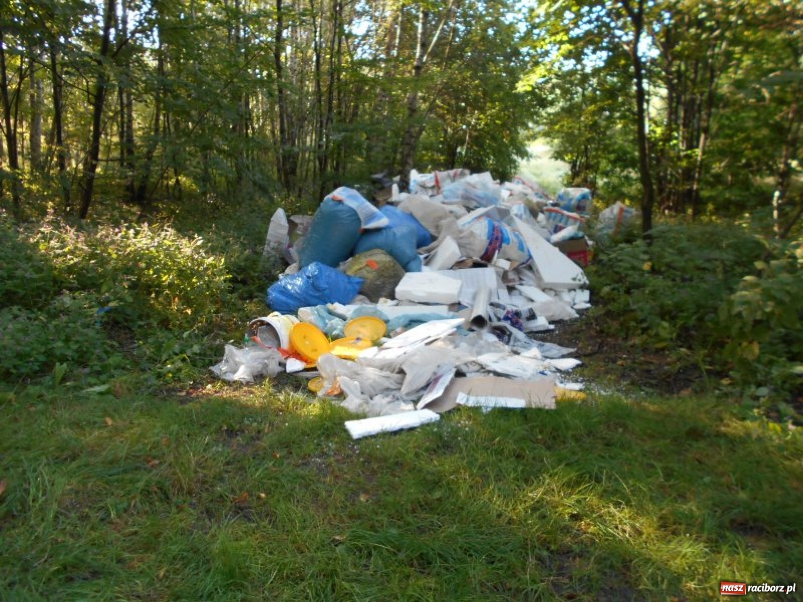 Zdjęcie w galerii na portalu naszraciborz.pl: Grzechy raciborzan! Strażnicy miejscy od zadań specjalnych  wiadomości z regionu