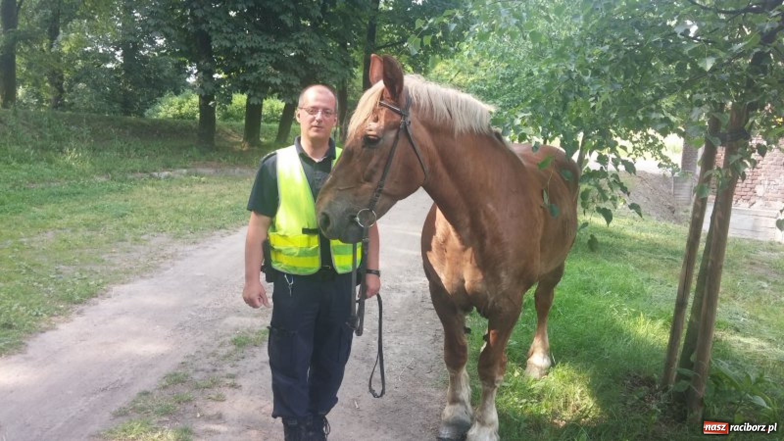 Zdjęcie w galerii na portalu naszraciborz.pl: Grzechy raciborzan! Strażnicy miejscy od zadań specjalnych  wiadomości z regionu