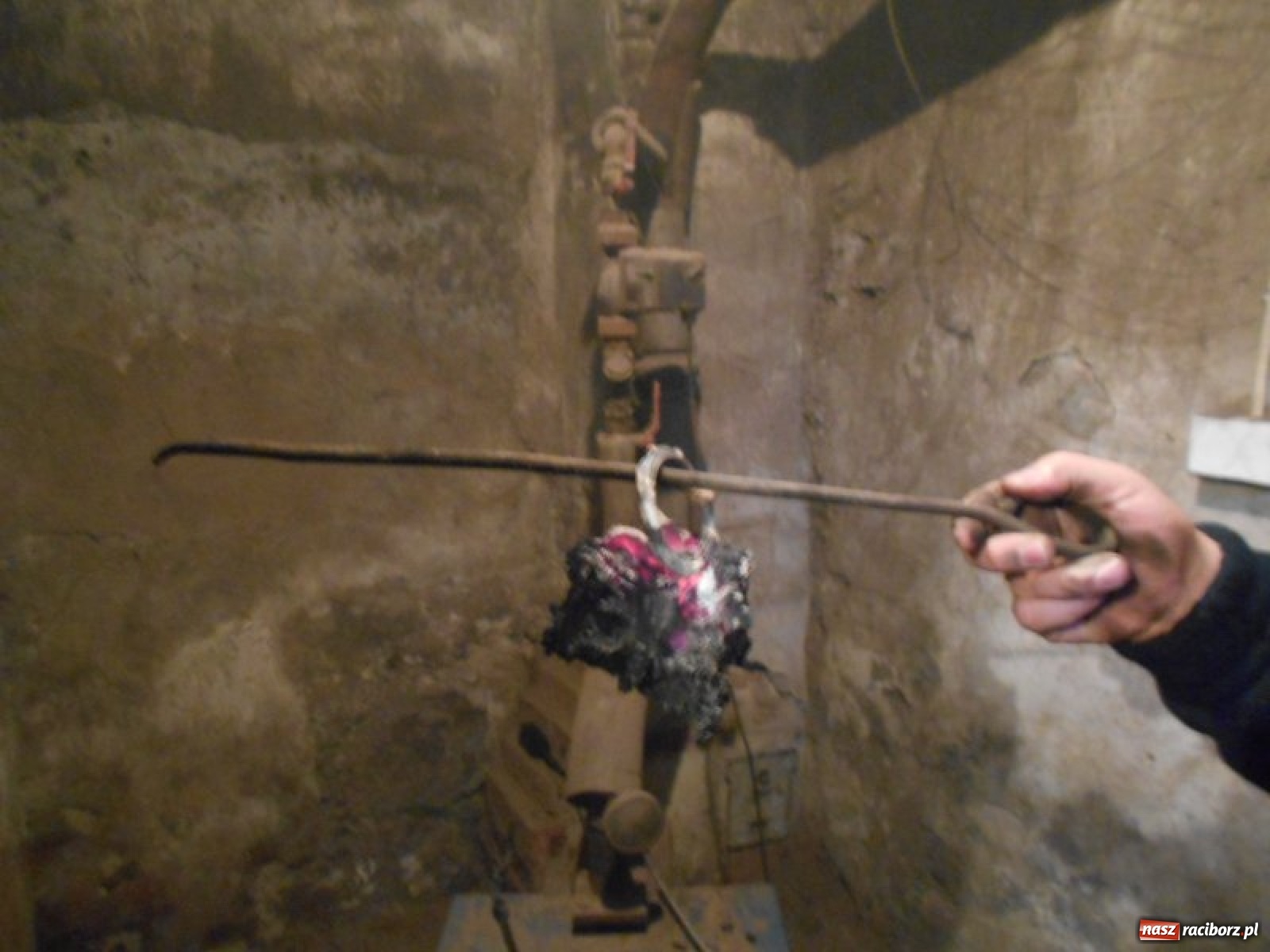 Zdjęcie w galerii na portalu naszraciborz.pl: Grzechy raciborzan! Strażnicy miejscy od zadań specjalnych  wiadomości z regionu