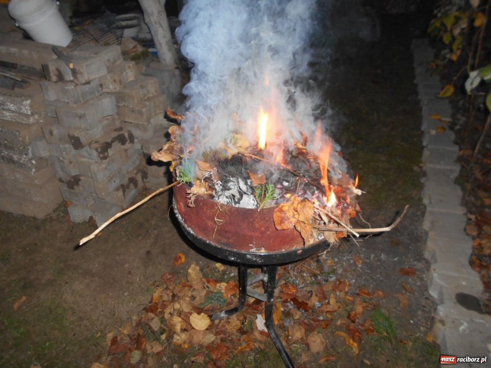Zdjęcie w galerii na portalu naszraciborz.pl: Grzechy raciborzan! Strażnicy miejscy od zadań specjalnych  wiadomości z regionu