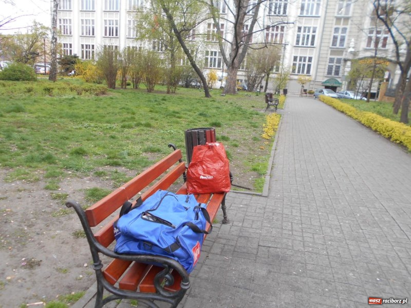 Zdjęcie w galerii na portalu naszraciborz.pl: Grzechy raciborzan! Strażnicy miejscy od zadań specjalnych  wiadomości z regionu
