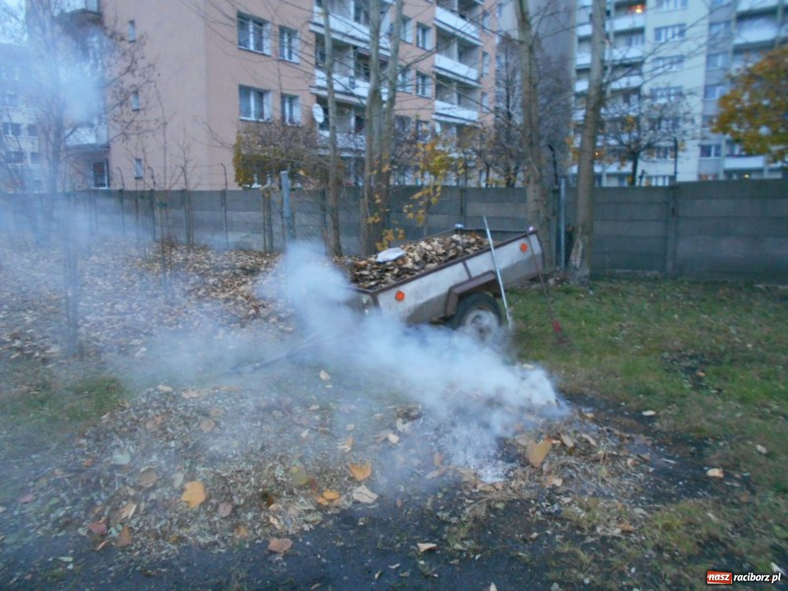 Zdjęcie w galerii na portalu naszraciborz.pl: Grzechy raciborzan! Strażnicy miejscy od zadań specjalnych  wiadomości z regionu