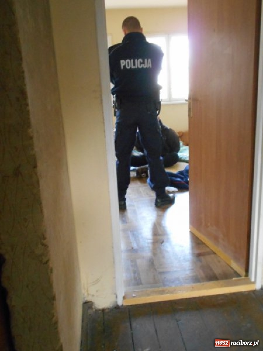 Zdjęcie w galerii na portalu naszraciborz.pl: Grzechy raciborzan! Strażnicy miejscy od zadań specjalnych  wiadomości z regionu