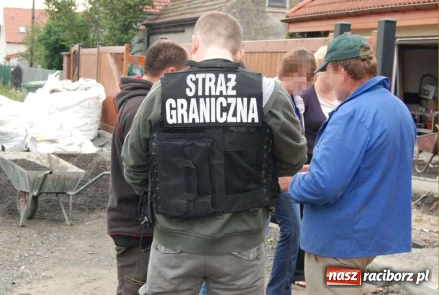 Zdjęcie w galerii na portalu naszraciborz.pl: Dwaj Ukraińcy pracowali nielegalnie wiadomości z regionu