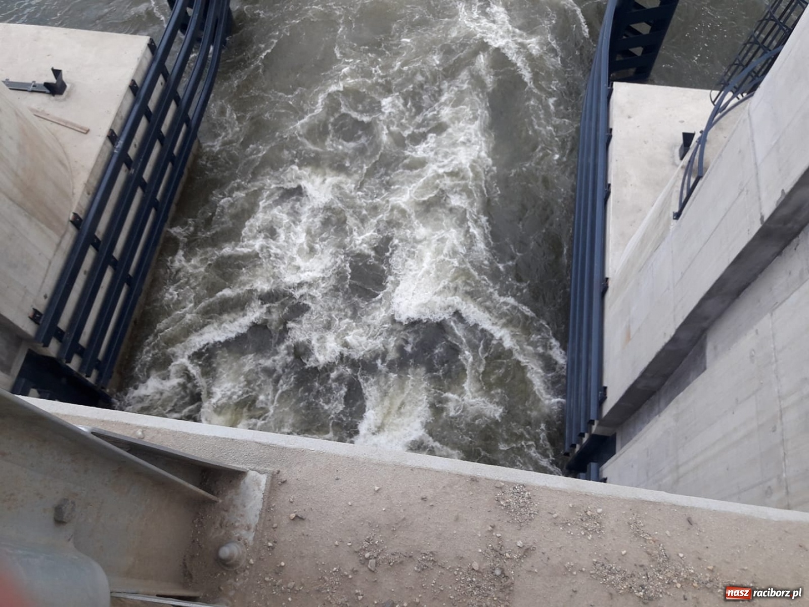 Zdjęcie w galerii na portalu naszraciborz.pl: Śpieszmy się pływać póki jeszcze mamy po czym. Inicjator Pływadła o stanie Odry  wiadomości z regionu