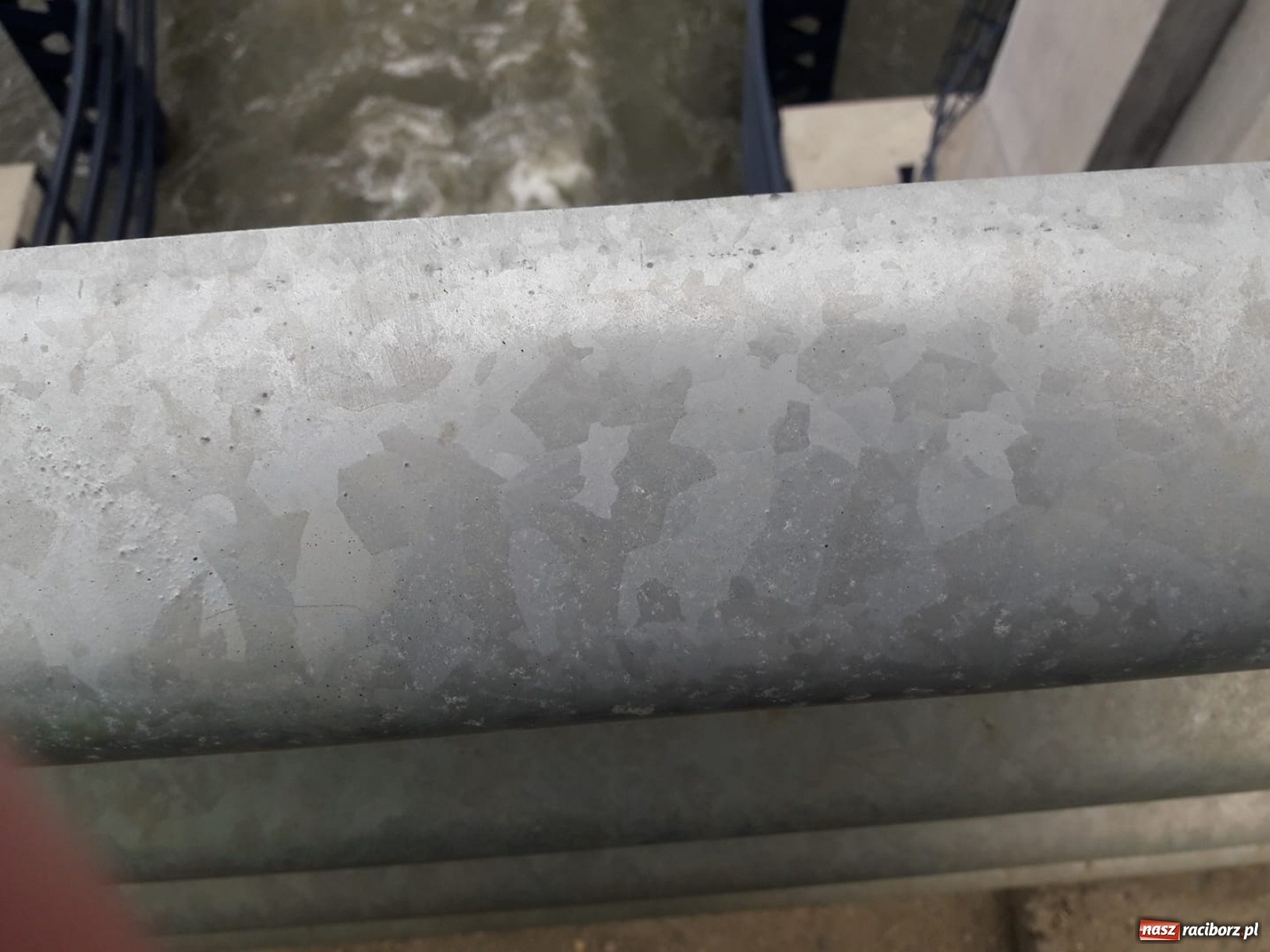 Zdjęcie w galerii na portalu naszraciborz.pl: Śpieszmy się pływać póki jeszcze mamy po czym. Inicjator Pływadła o stanie Odry  wiadomości z regionu