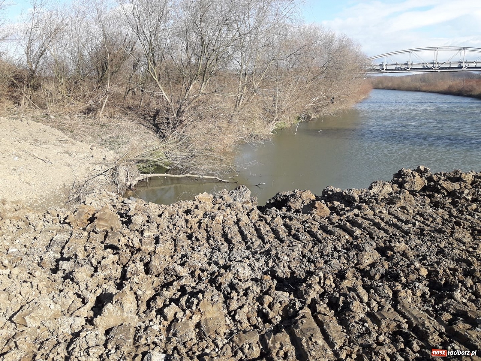 Zdjęcie w galerii na portalu naszraciborz.pl: Śpieszmy się pływać póki jeszcze mamy po czym. Inicjator Pływadła o stanie Odry  wiadomości z regionu