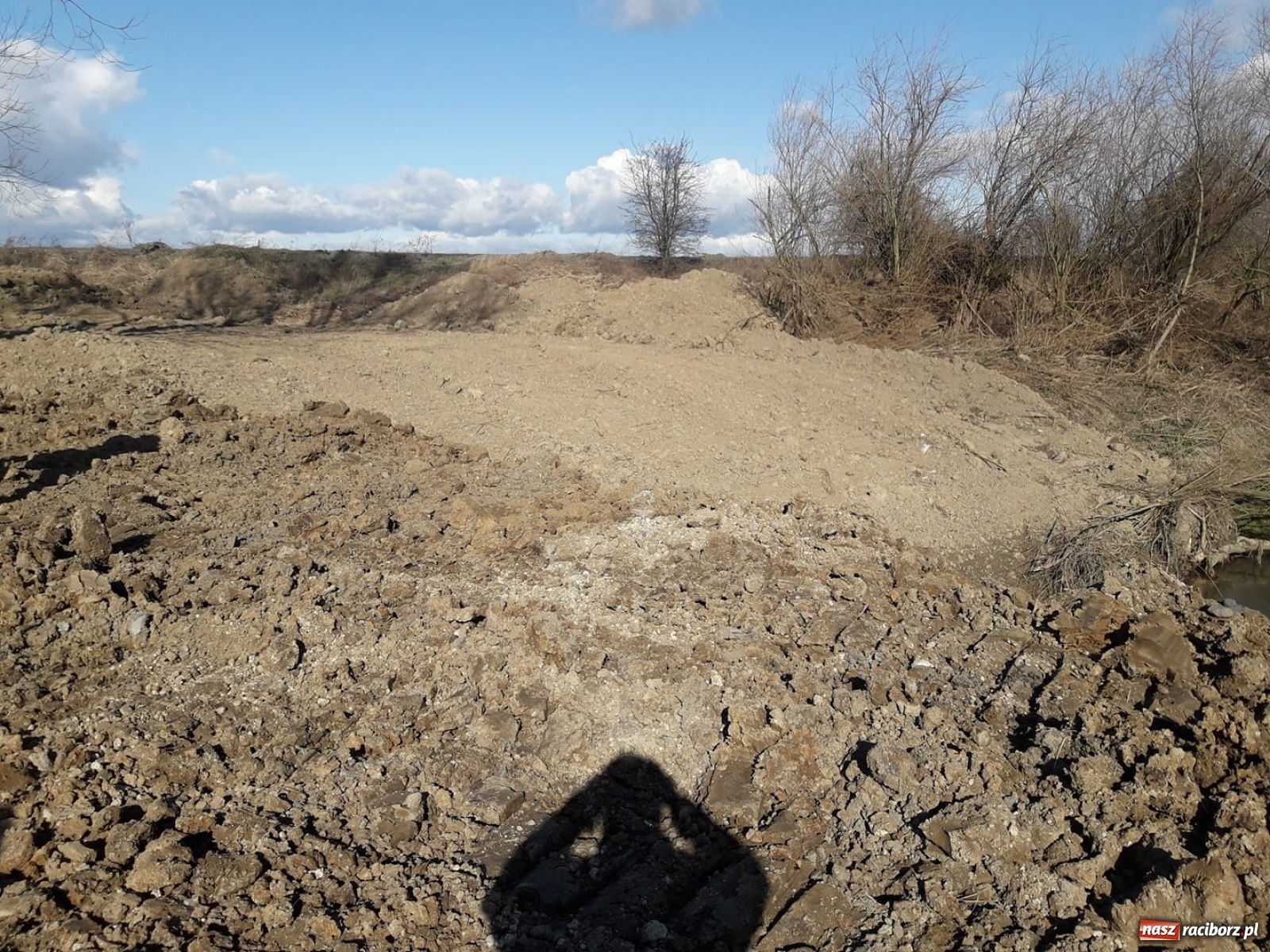 Zdjęcie w galerii na portalu naszraciborz.pl: Śpieszmy się pływać póki jeszcze mamy po czym. Inicjator Pływadła o stanie Odry  wiadomości z regionu