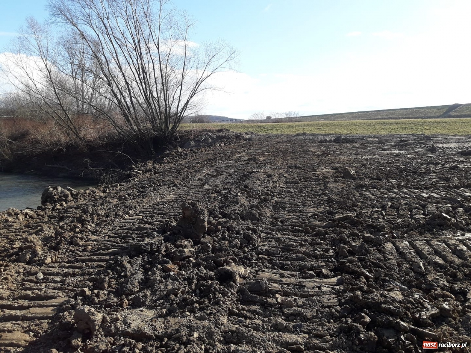 Zdjęcie w galerii na portalu naszraciborz.pl: Śpieszmy się pływać póki jeszcze mamy po czym. Inicjator Pływadła o stanie Odry  wiadomości z regionu