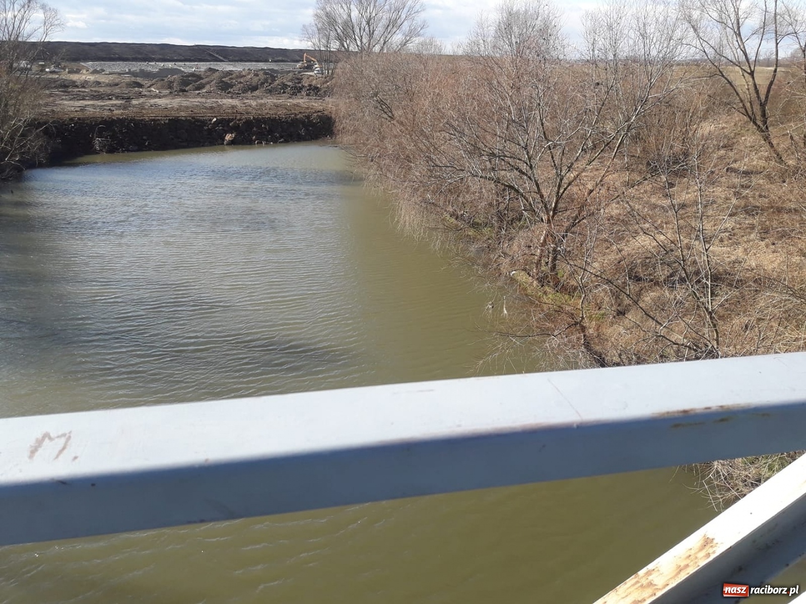 Zdjęcie w galerii na portalu naszraciborz.pl: Śpieszmy się pływać póki jeszcze mamy po czym. Inicjator Pływadła o stanie Odry  wiadomości z regionu