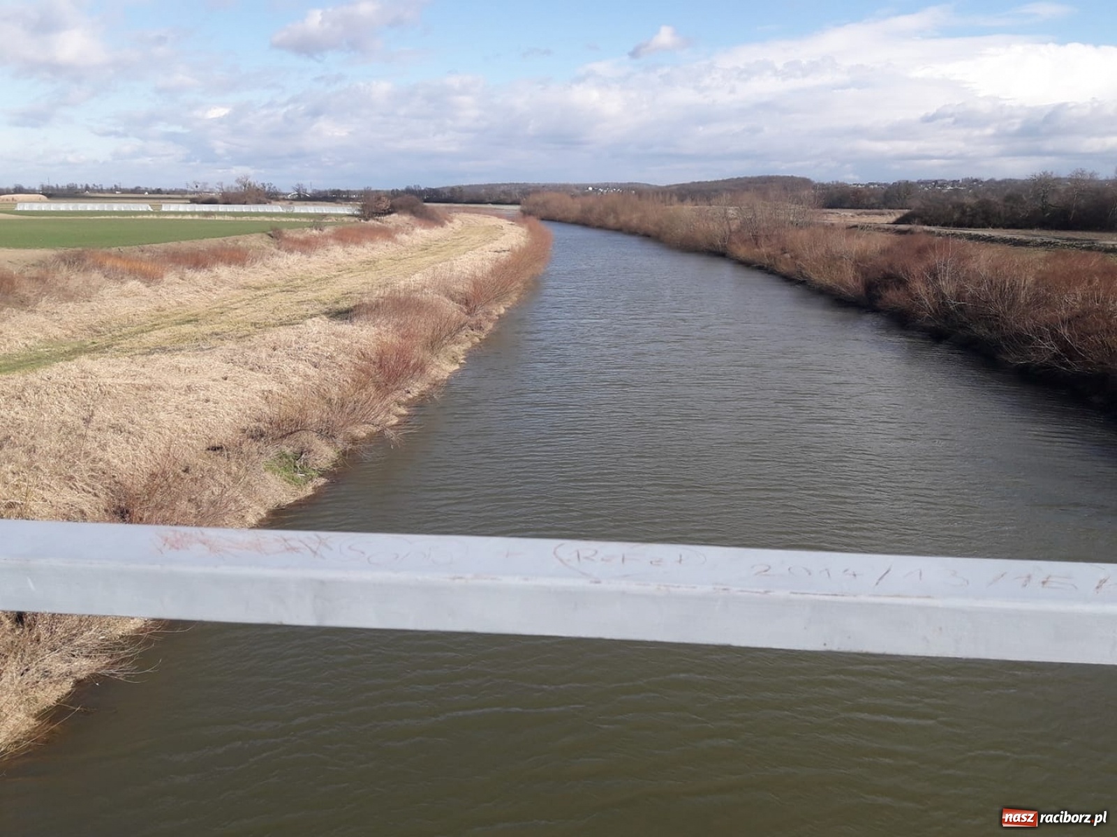 Zdjęcie w galerii na portalu naszraciborz.pl: Śpieszmy się pływać póki jeszcze mamy po czym. Inicjator Pływadła o stanie Odry  wiadomości z regionu