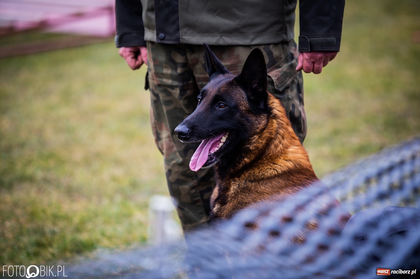 Zdjęcie w galerii na portalu naszraciborz.pl: Turniej Mondioringowy w Zawadzie Książęcej wiadomości z regionu