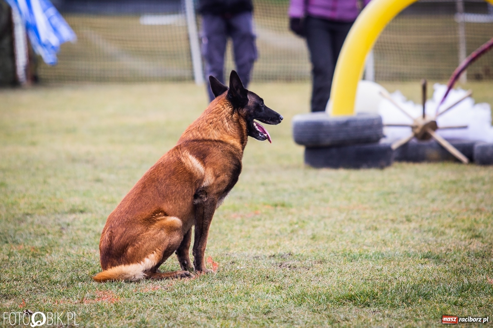 Zdjęcie w galerii na portalu naszraciborz.pl: Turniej Mondioringowy w Zawadzie Książęcej wiadomości z regionu