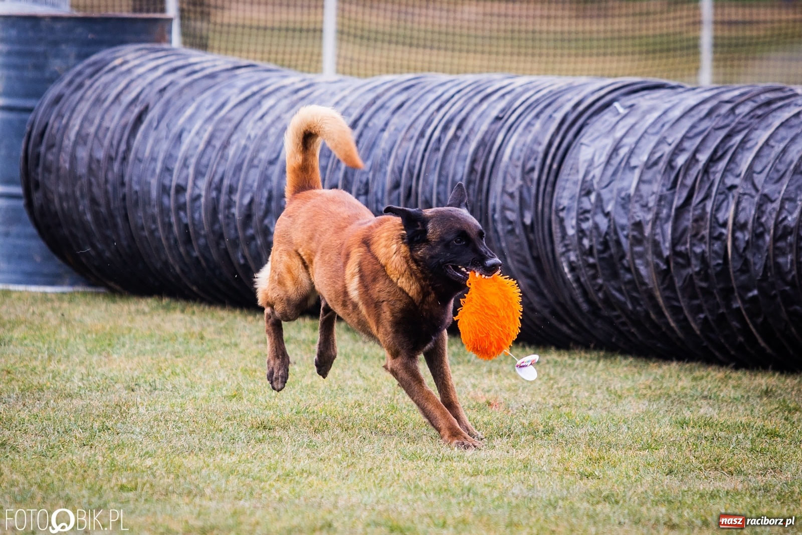 Zdjęcie w galerii na portalu naszraciborz.pl: Turniej Mondioringowy w Zawadzie Książęcej wiadomości z regionu