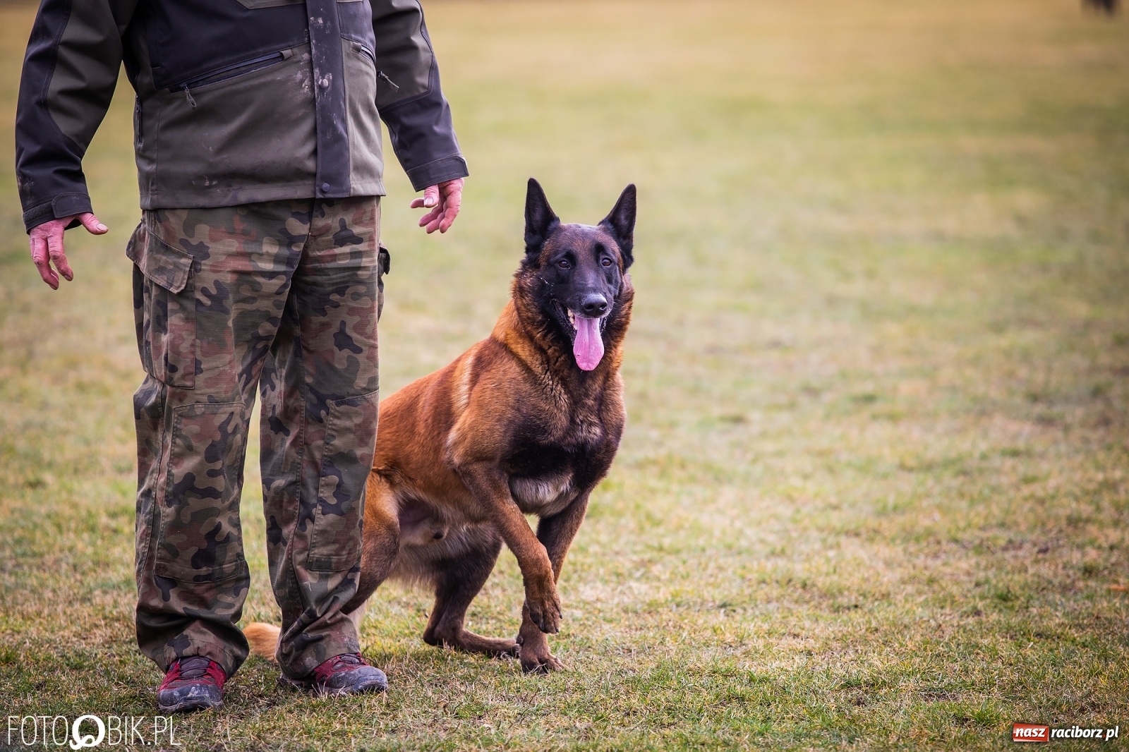 Zdjęcie w galerii na portalu naszraciborz.pl: Turniej Mondioringowy w Zawadzie Książęcej wiadomości z regionu