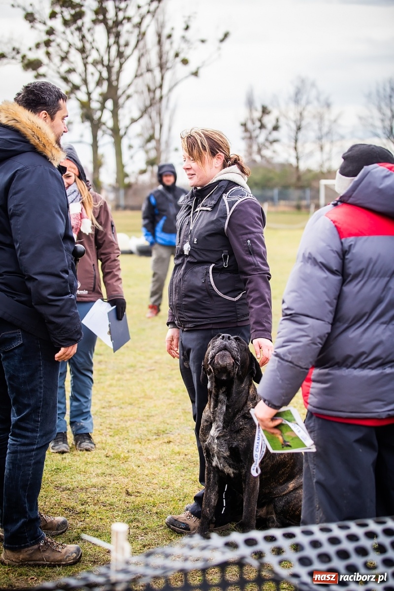 Zdjęcie w galerii na portalu naszraciborz.pl: Turniej Mondioringowy w Zawadzie Książęcej wiadomości z regionu