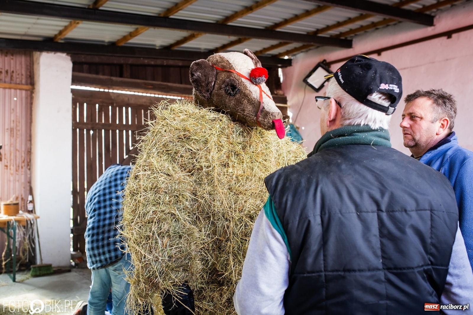 Zdjęcie w galerii na portalu naszraciborz.pl: Wodzenie niedźwiedzia w Samborowicach. Tak wieś żegna karnawał [FOTO i WIDEO] wiadomości z regionu