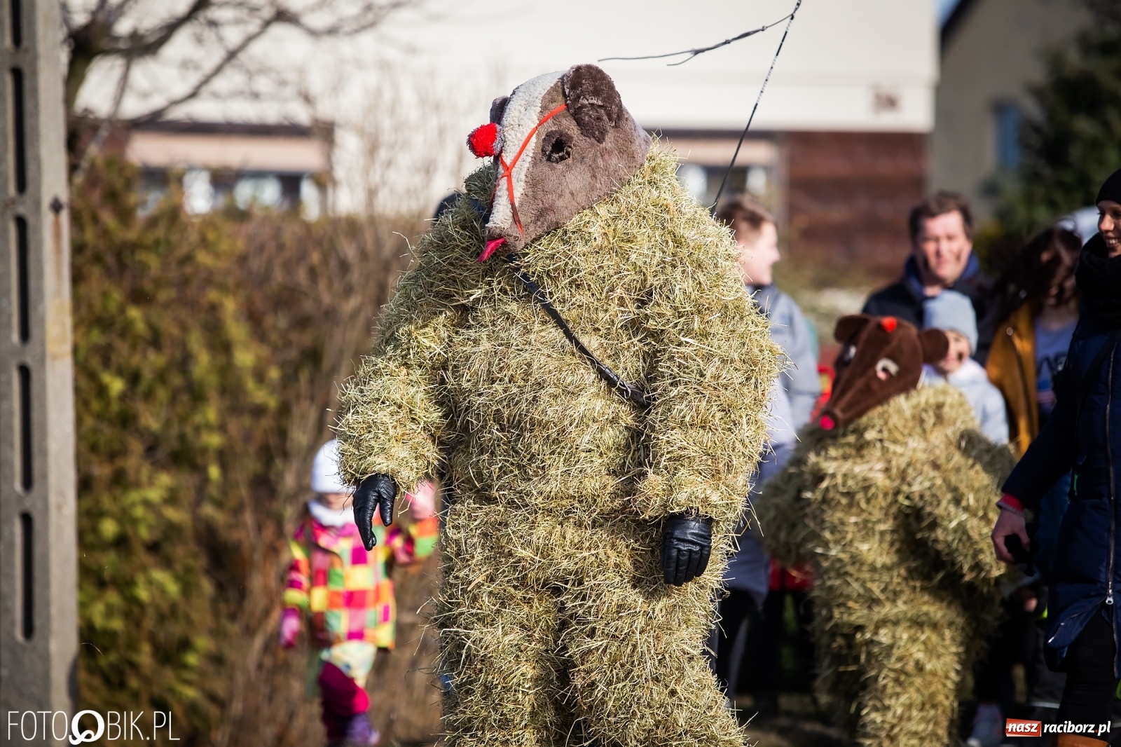 Zdjęcie w galerii na portalu naszraciborz.pl: Wodzenie niedźwiedzia w Samborowicach. Tak wieś żegna karnawał [FOTO i WIDEO] wiadomości z regionu