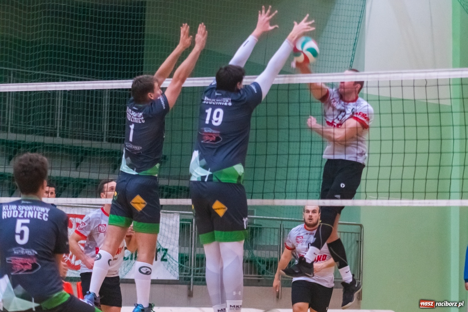 Zdjęcie w galerii na portalu naszraciborz.pl: Siatkówka. AZS Rafako lepszy od Rudzińca [FOTO i WIDEO] wiadomości z regionu